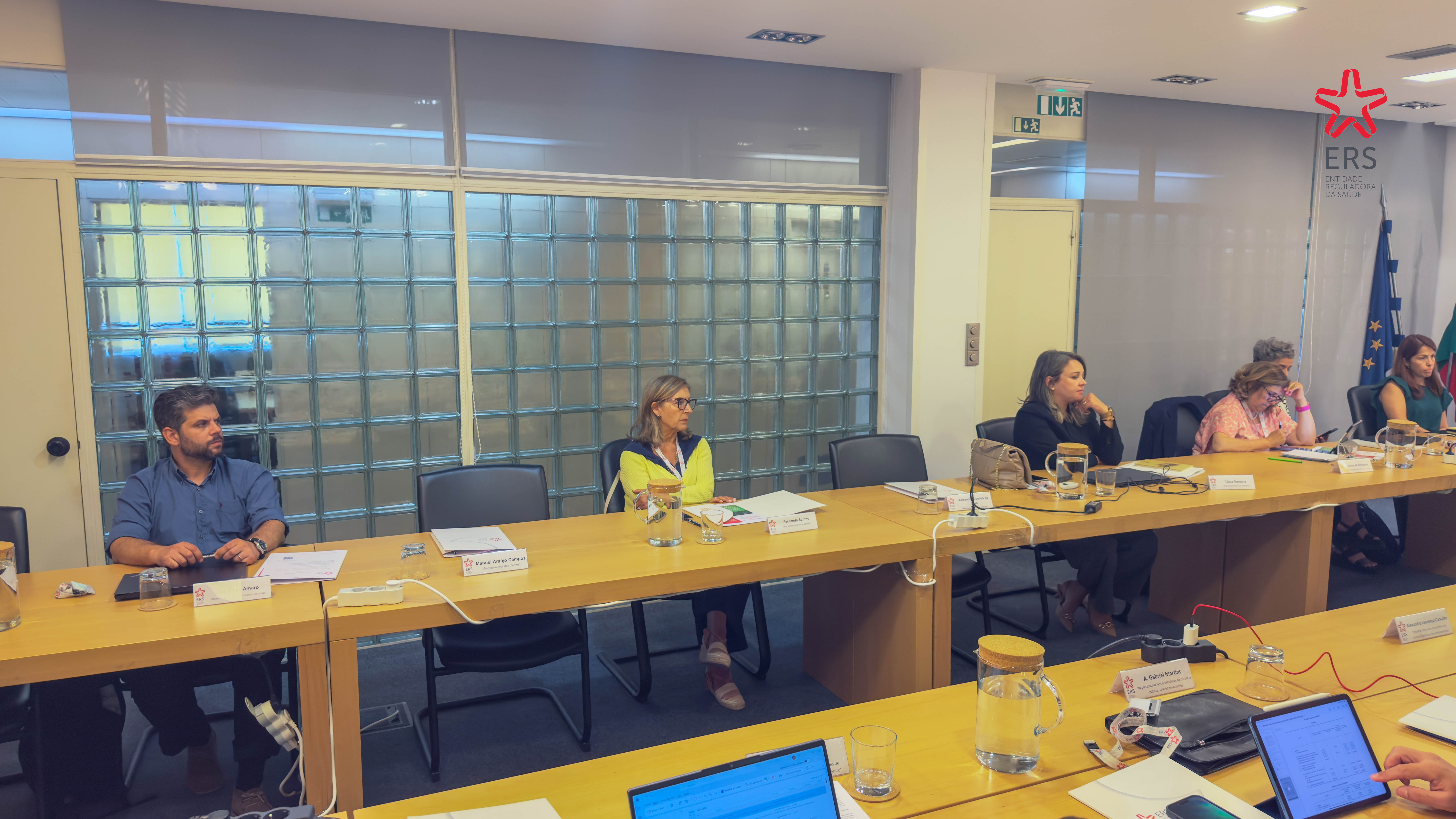 2º reunião ordinária do Conselho Consultivo da Entidade Reguladora da Saúde (ERS) de 2025