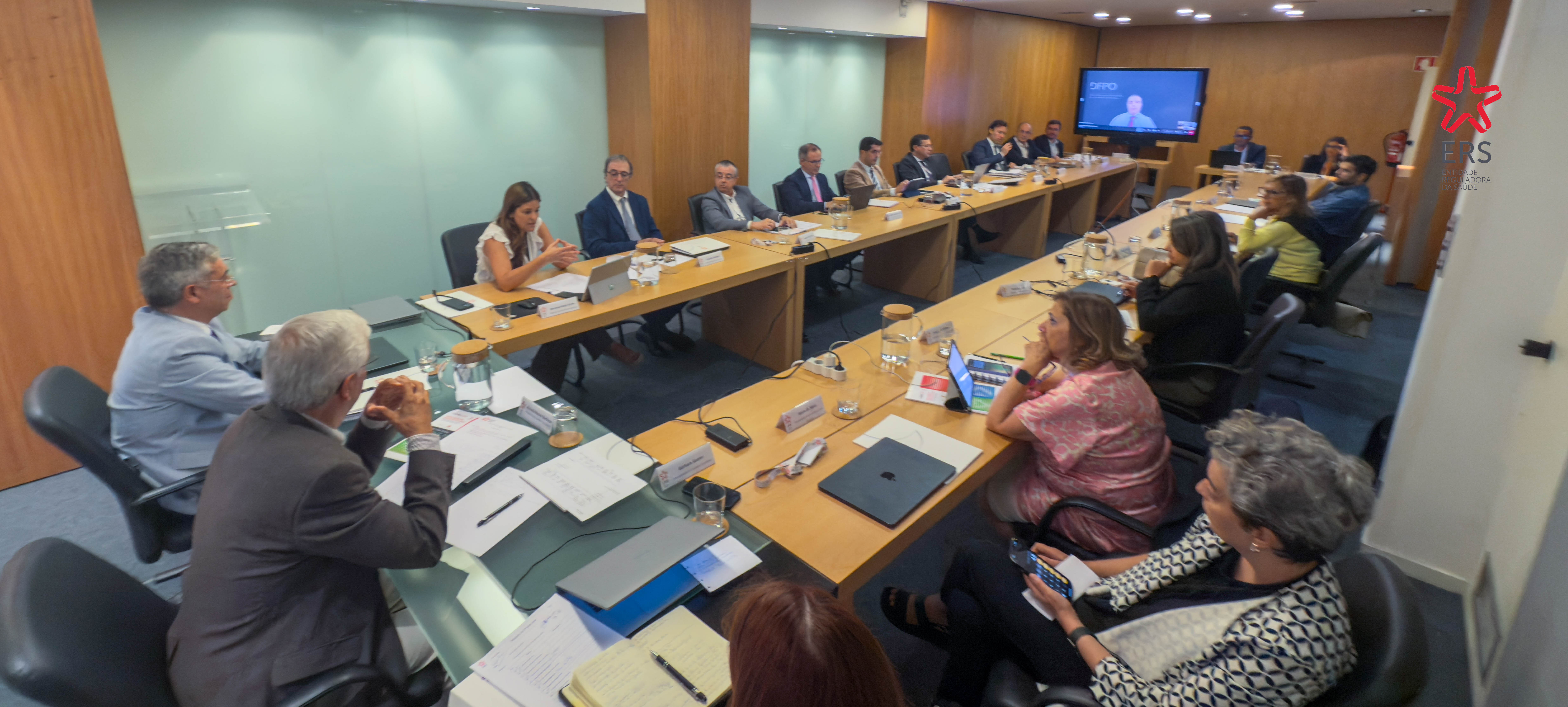 2º reunião ordinária do Conselho Consultivo da Entidade Reguladora da Saúde (ERS) de 2025